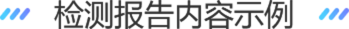 检测报告示例